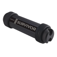 Corsair Flash Survivor Stealth 32GB