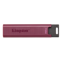 Kingston DataTraveler Max USB-A 512GB
