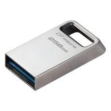 Kingston DataTraveler Micro 256GB