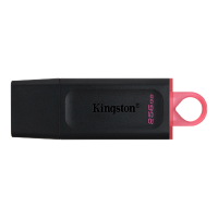 Kingston DataTraveler Exodia 256GB 1x