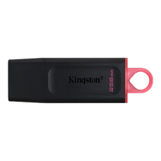 Kingston DataTraveler Exodia 256GB 1x