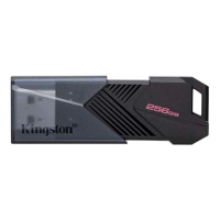 Kingston DataTraveler Exodia Onyx 256GB