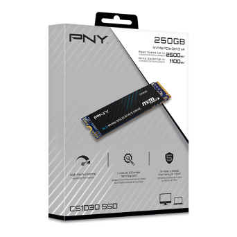 PNY CS1030 250GB (2.5GB/s, 1.1GB/s, 150TBW)